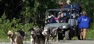 Alaska Kennel Tour