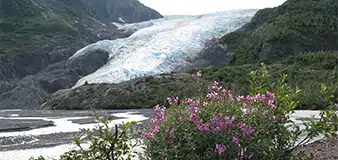 Seward Exit Glacier park