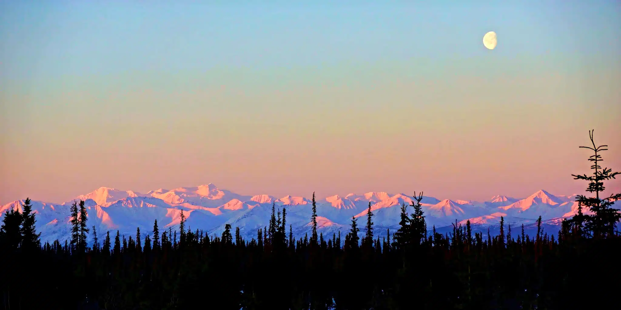 Alaskan nights