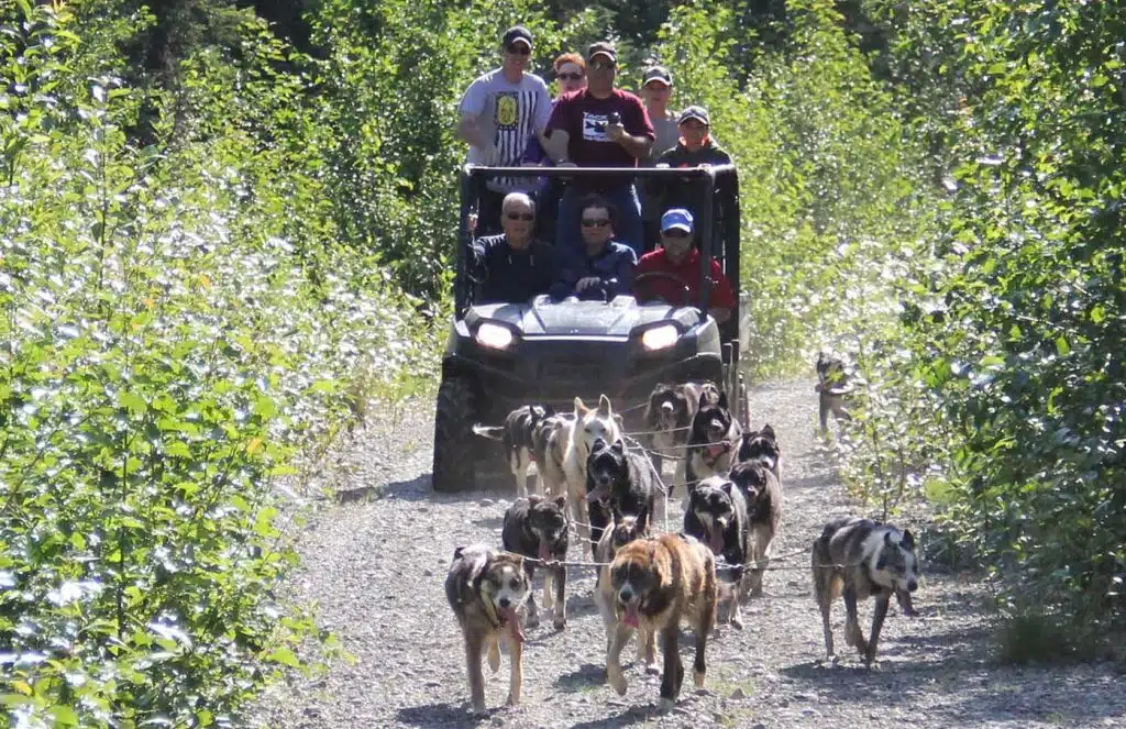 Alaskan Sled Dog tour