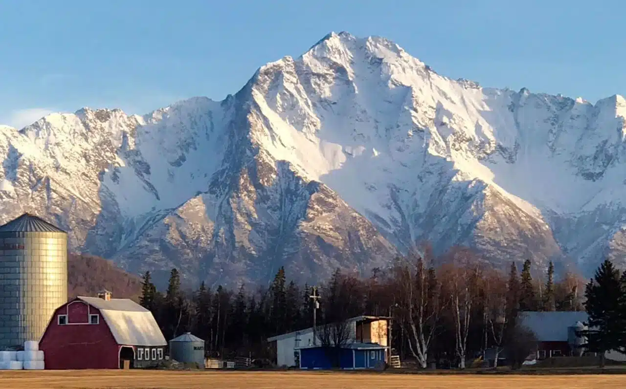 Pioneer peak Alaska tour