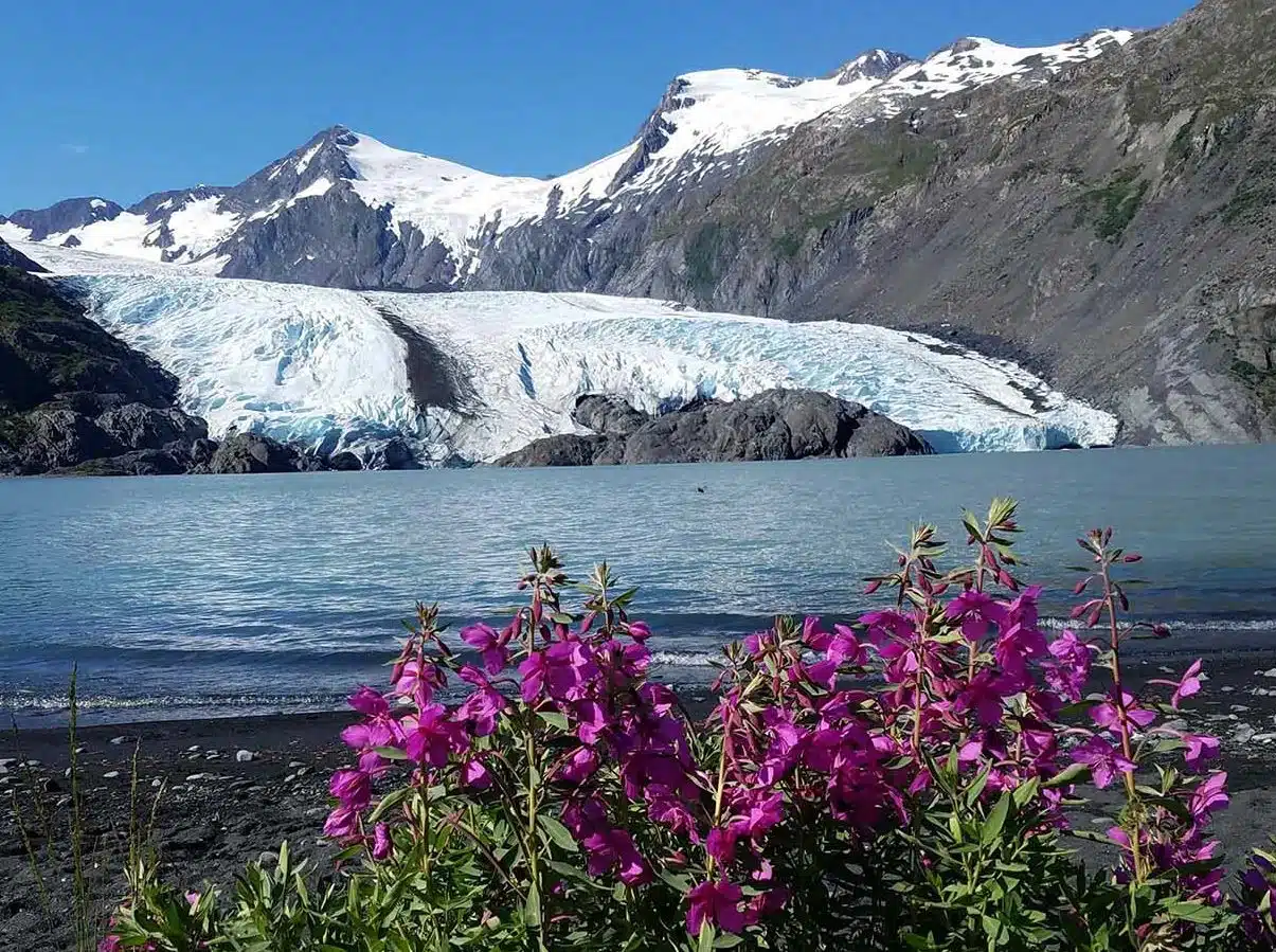 Portage Glacier Alaska tour