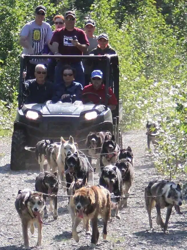 Family on Alaska sled dog ride