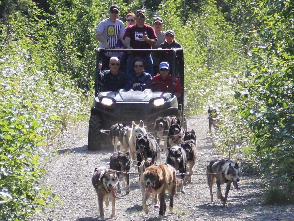 Family on Alaska sled dog ride