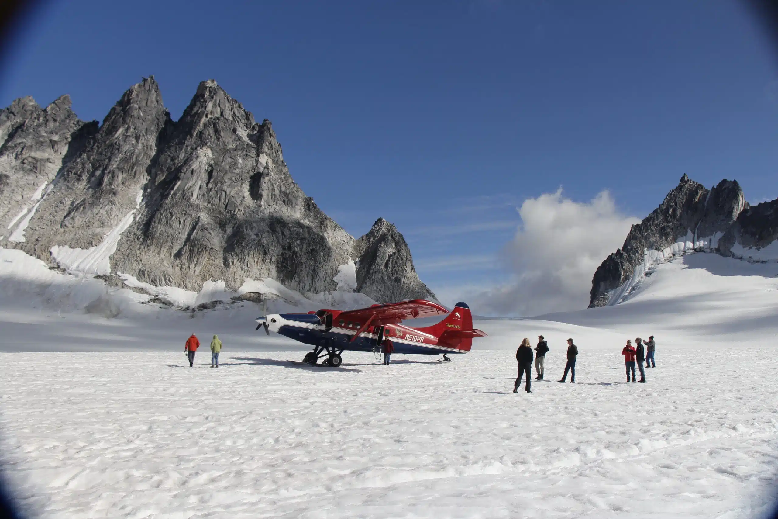 Denali flight seeing tour