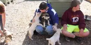 Puppy kennel