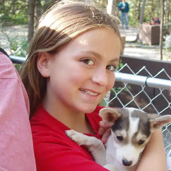 alaska sled dog tour puppy